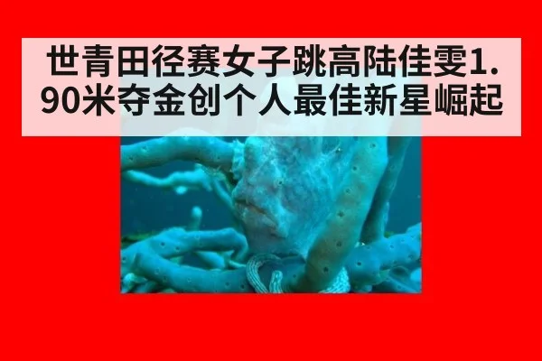 世青田径赛女子跳高陆佳雯1.90米夺金创个人最佳新星崛起