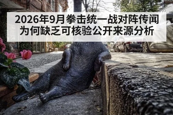 2026年9月拳击统一战对阵传闻为何缺乏可核验公开来源分析